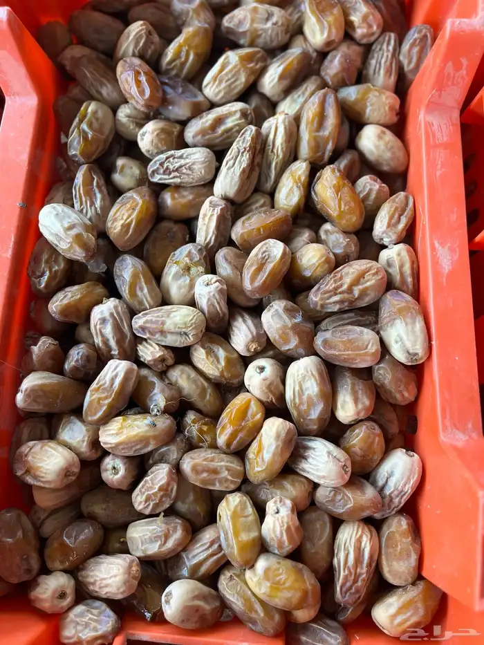 تمر خلع حبه كبير 0