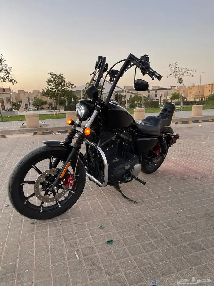هارلي سبوستر 2
