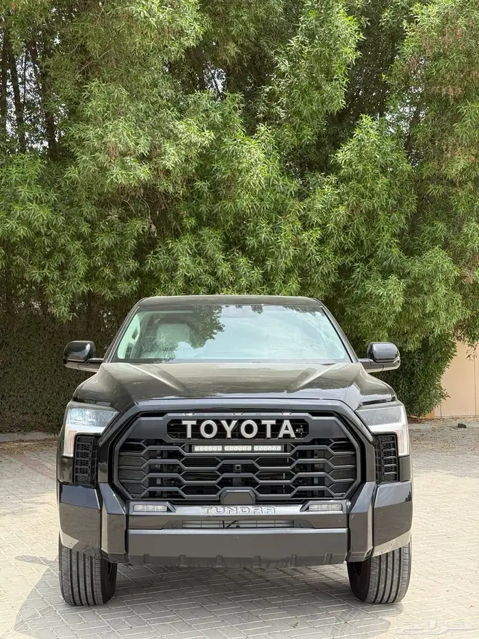 تندرا لميتد 2024 3