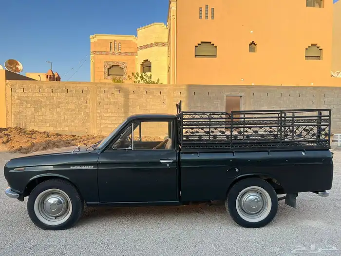 ددسن 1970 5