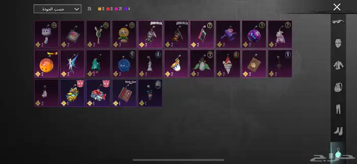 حساب ببجي نادر 450 9