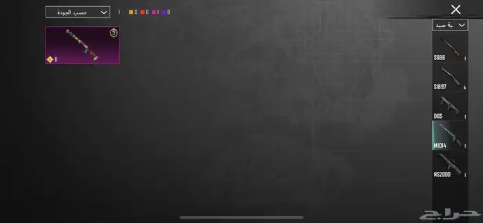 حساب ببجي نادر 450 41