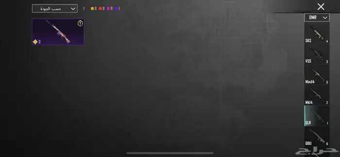 حساب ببجي نادر 450 31
