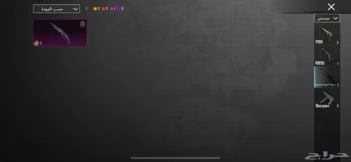 حساب ببجي نادر 450 48
