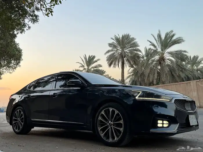 كادينزا 2017 38