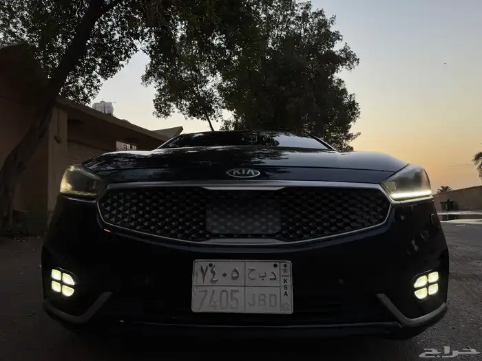 كادينزا 2017 13