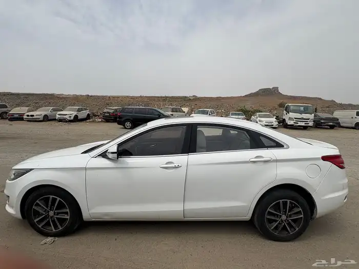 فاو 2020 3