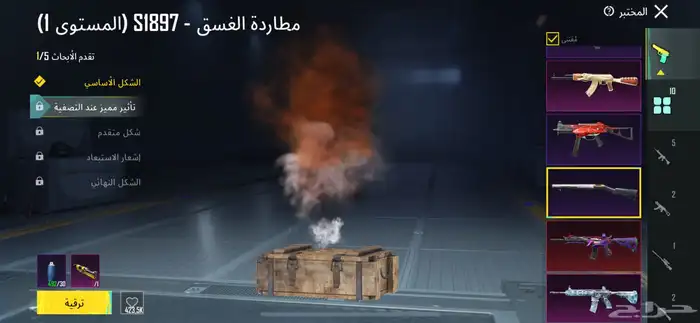 حساب ببجي نادر 11
