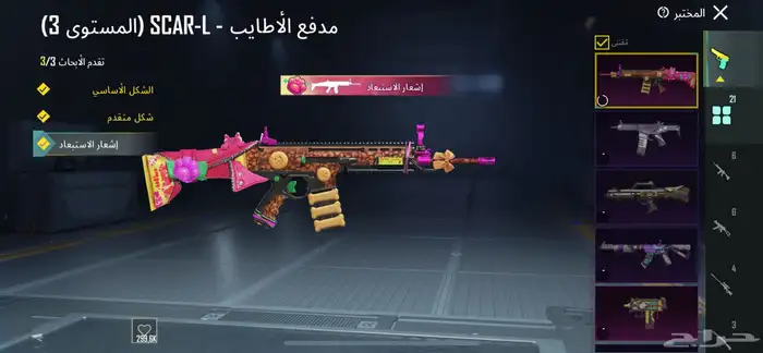 حساب ببجي 17