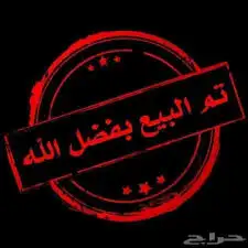 حواشي ساحلي 4