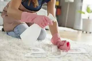 شركه تنظيف شقق وغسيل كنب ومجالس وسجاد 4
