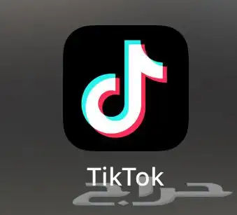 حسابات تيك توك للبيع جملة 100حساب 200  متابعين 4k إلى11k 0