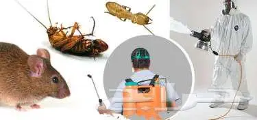 شركة تنظيف شقق فلل كنب موكيت سجاد خزانات 8
