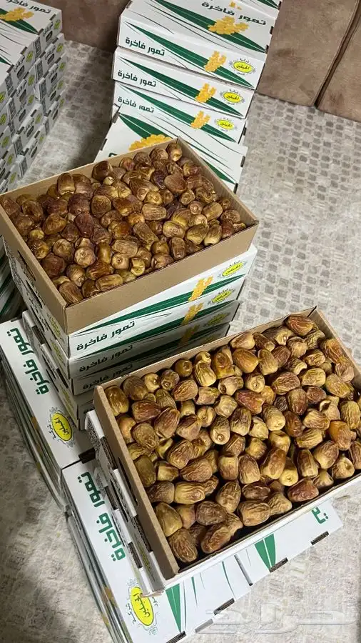 تمر سكري رطب 3