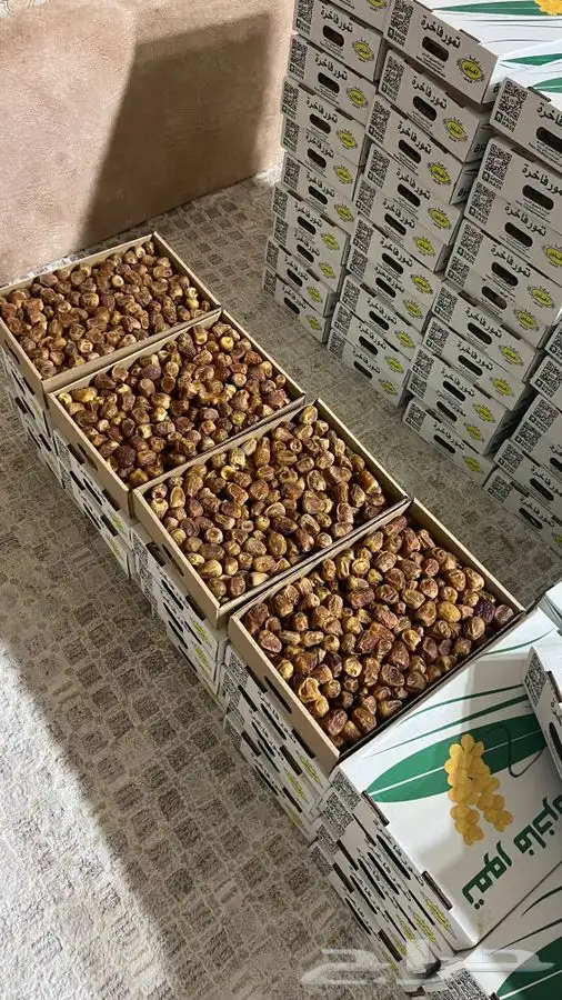 تمر سكري رطب 9
