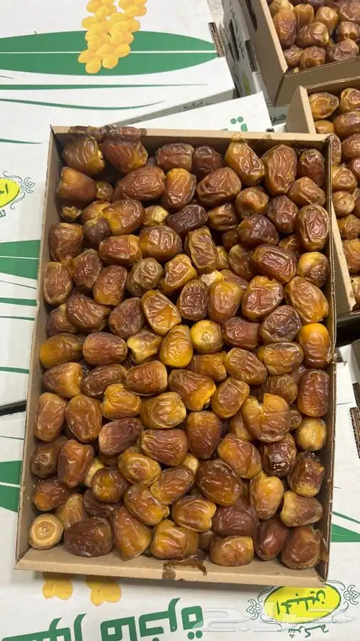 تمر سكري رطب 2