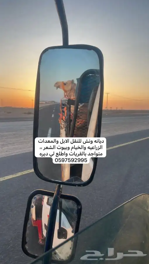 ديانه ونش مشاوير داخل القريات وخارجها نقل بل حلال مكاين 0