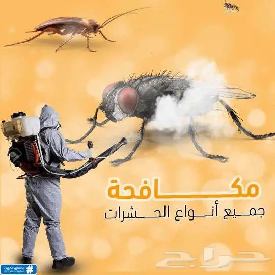 شركة تنظيف شقق فلل كنب موكيت سجاد خزانات 1