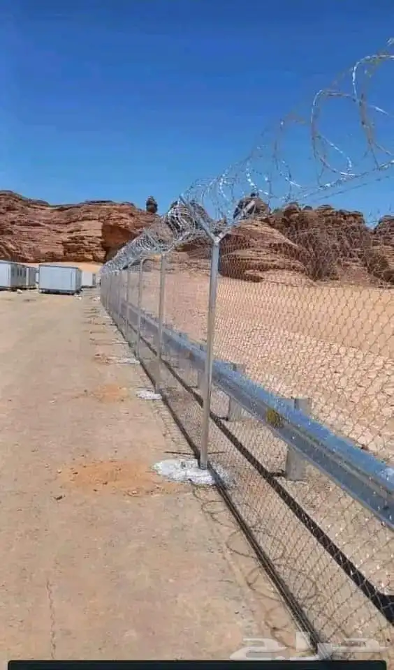 مقاول شبوك وتوريد جميع أنواع النخيل 0