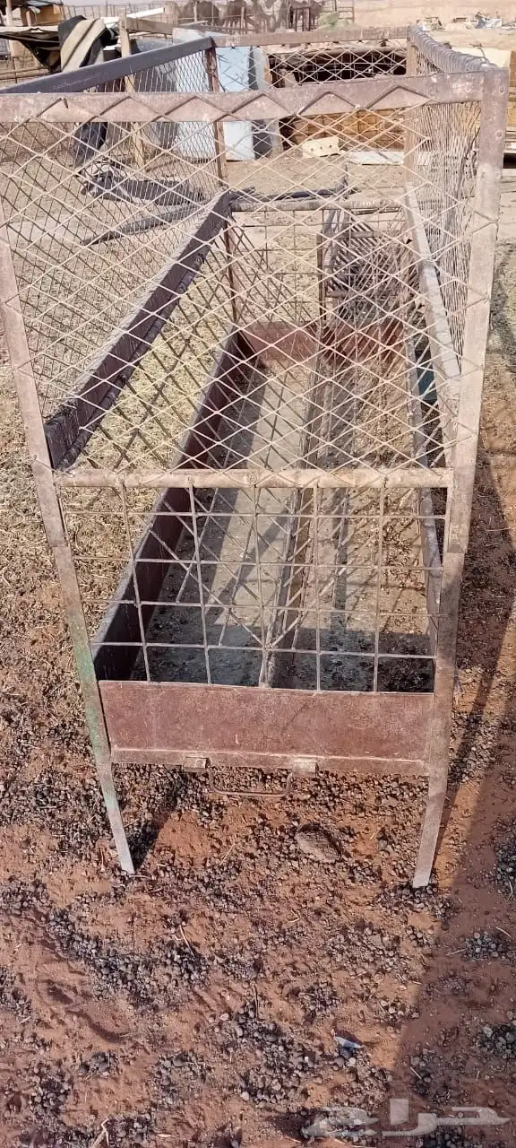 معالف وشبوك حمام 1