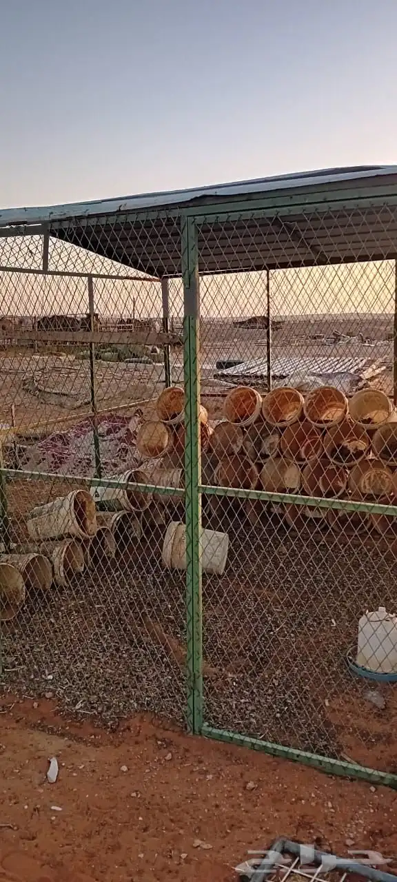 معالف وشبوك حمام 5