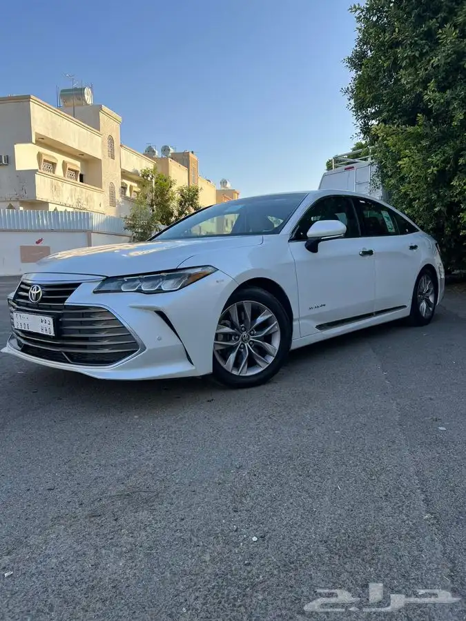 فلون تورينق 3