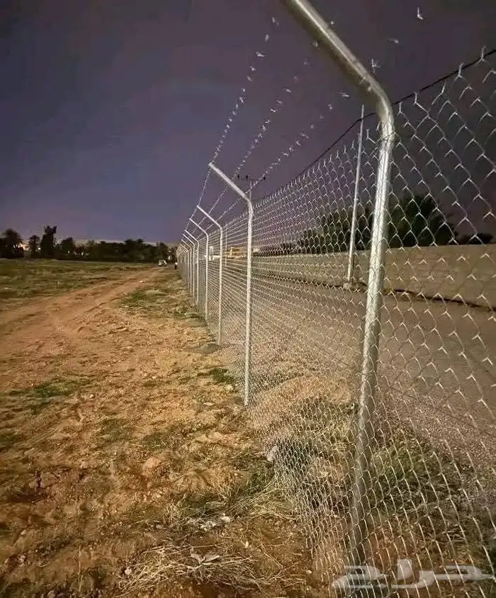 مقاول شبوك وتوريد جميع أنواع النخيل 3