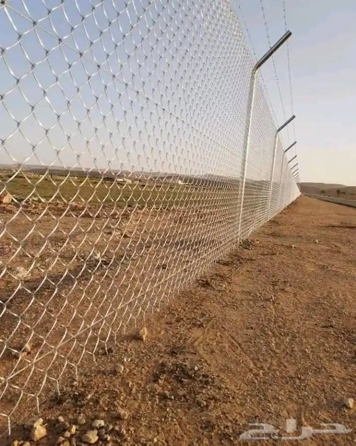 مقاول شبوك وتوريد جميع أنواع النخيل 1