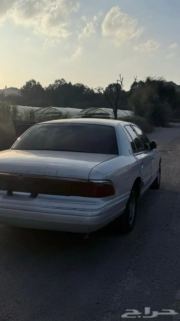 فورد 13
