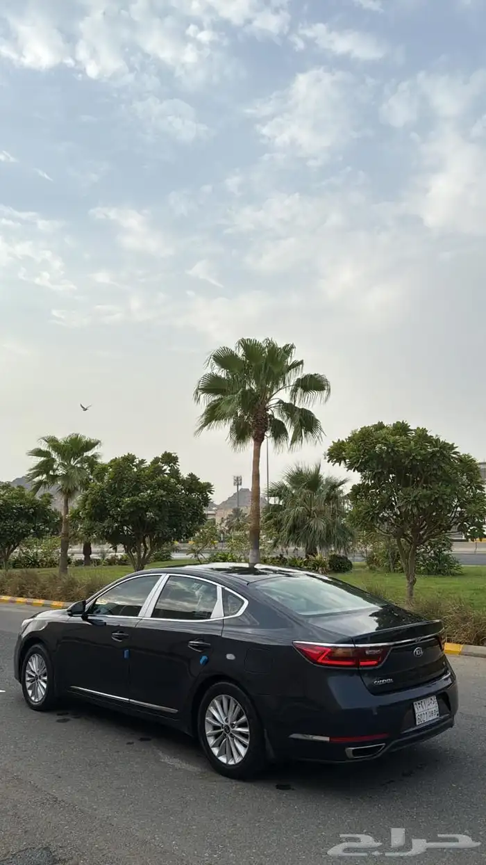 كدينزا 2017 5