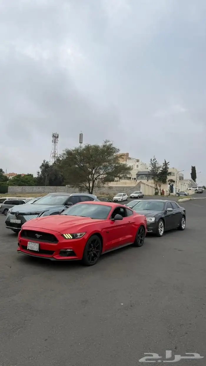 موستنج 2017 V8 سعودي توكيلات الجزيرة 3