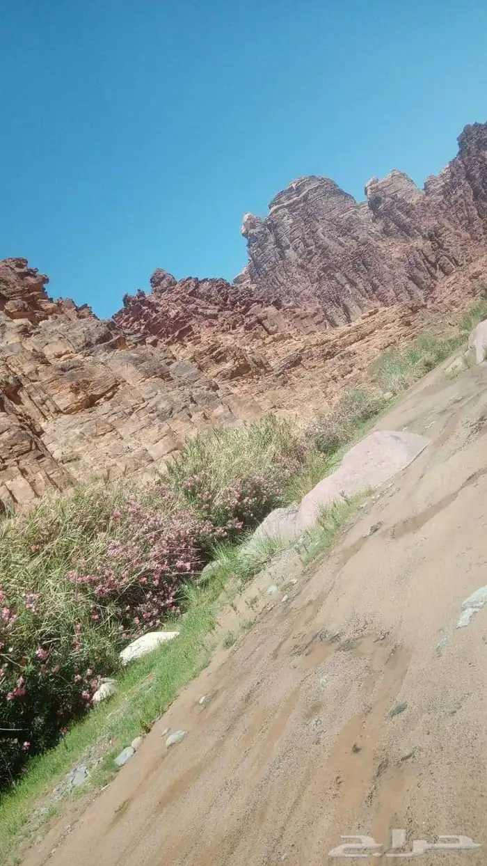 موشد سياحي في منطقه تبوك 24