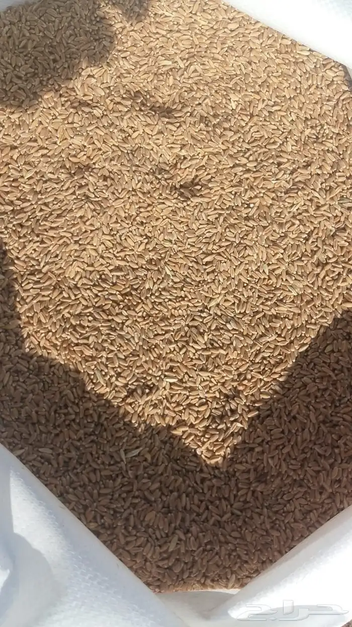 بر عضوي نظيف 0