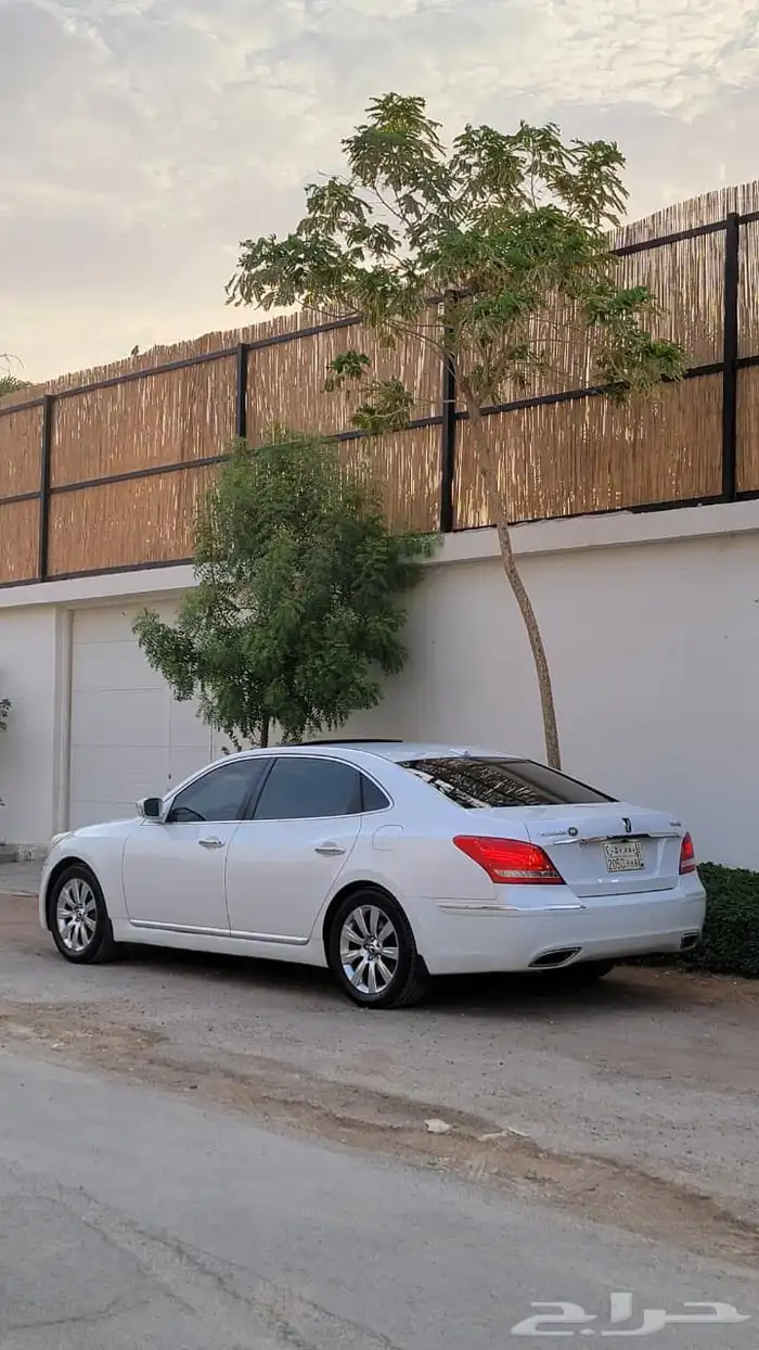 سنتنيال 2013 فل كامل VS460 5