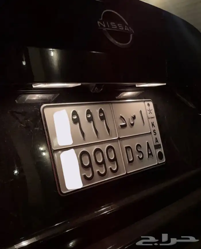 لوحة مميزة اسد مكرر ( تم البيع ) 0