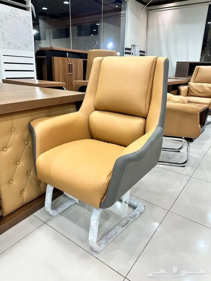 كرأسي جلد كرأسي شبك كرأسي فخم. 23