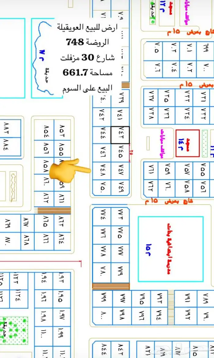 الروضه 0