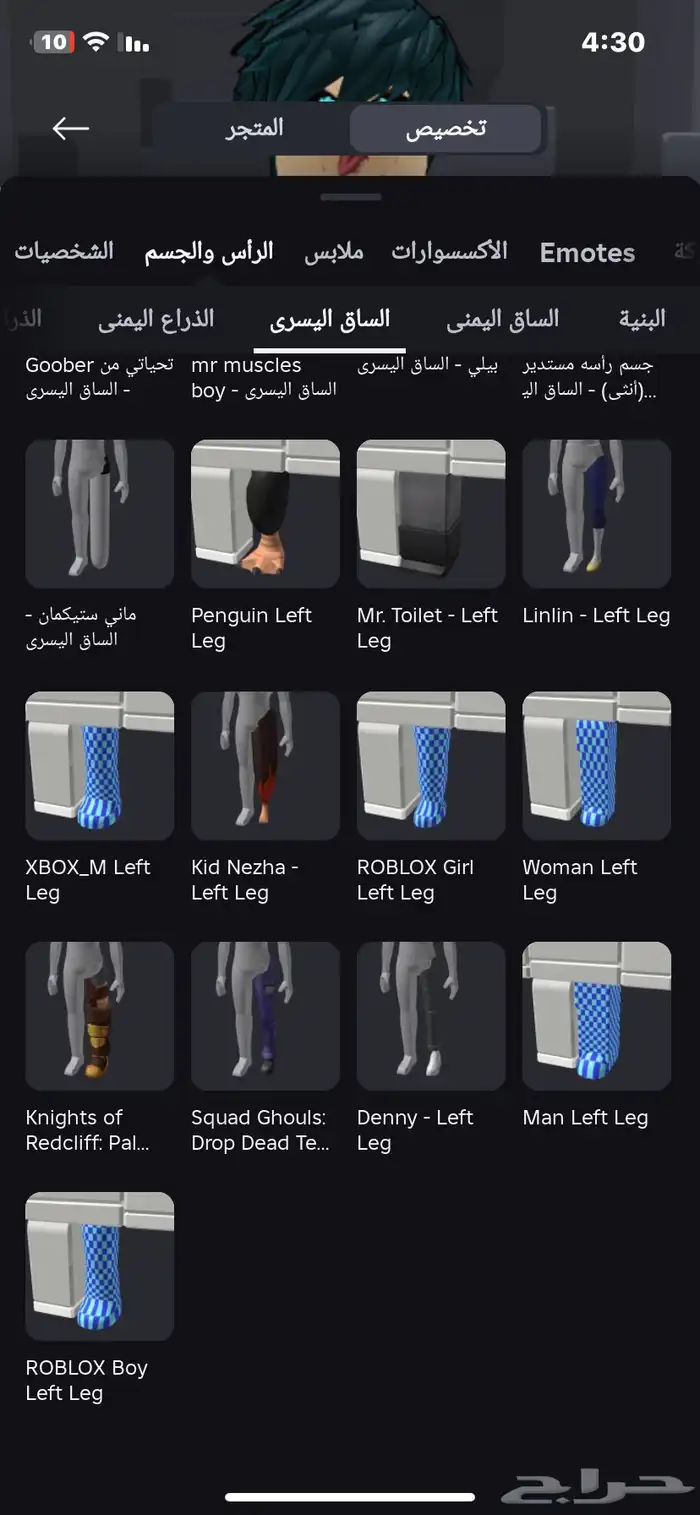 روبلوكس 13