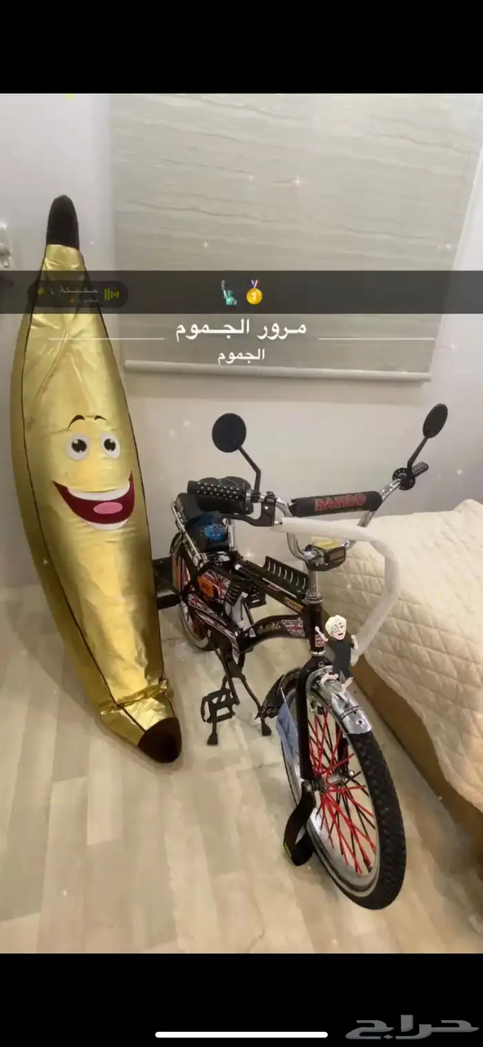 سيكل رامبو 2025 مقعده اندنوسي قطب 2