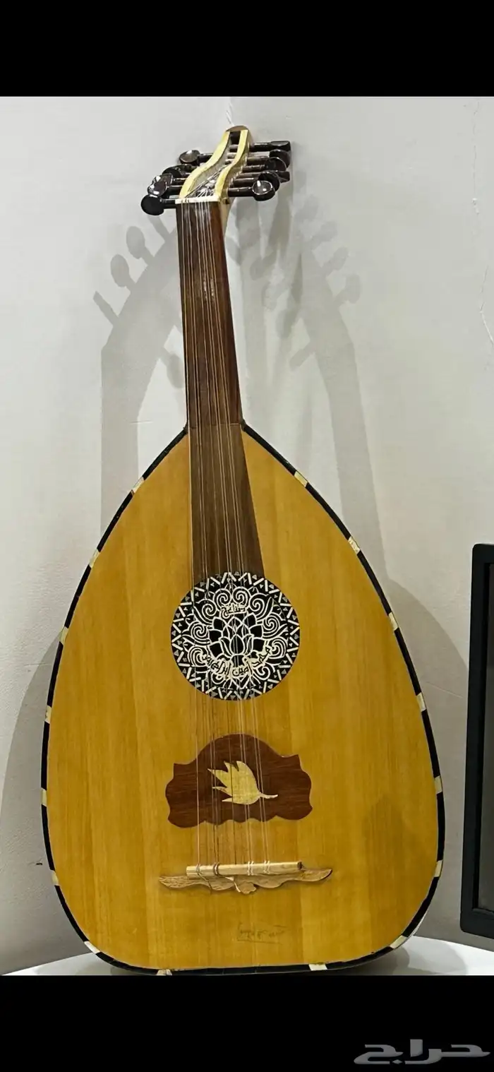 عود مصري 0