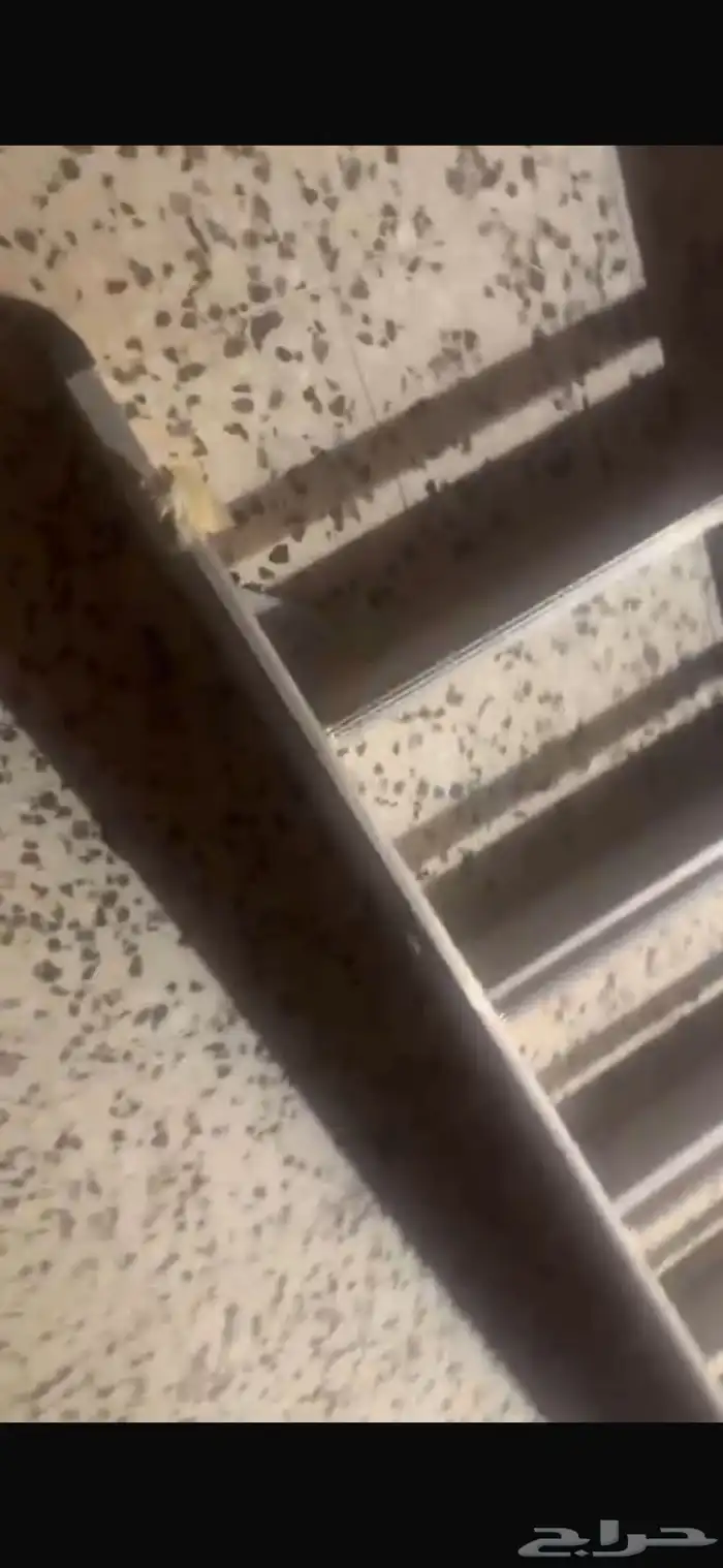 سلم 9 درجات ب250ريالد 4