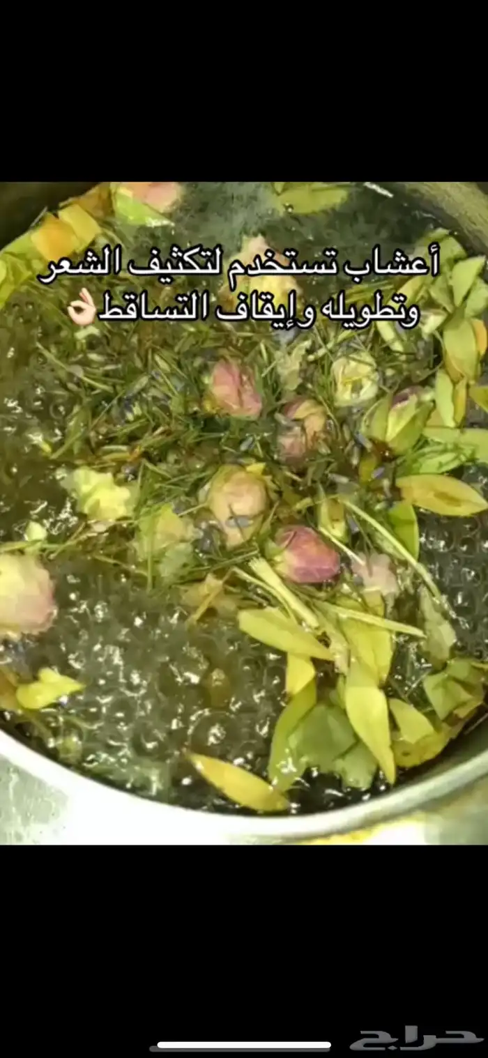 توفر المشاط الأحمر الأصلي 2