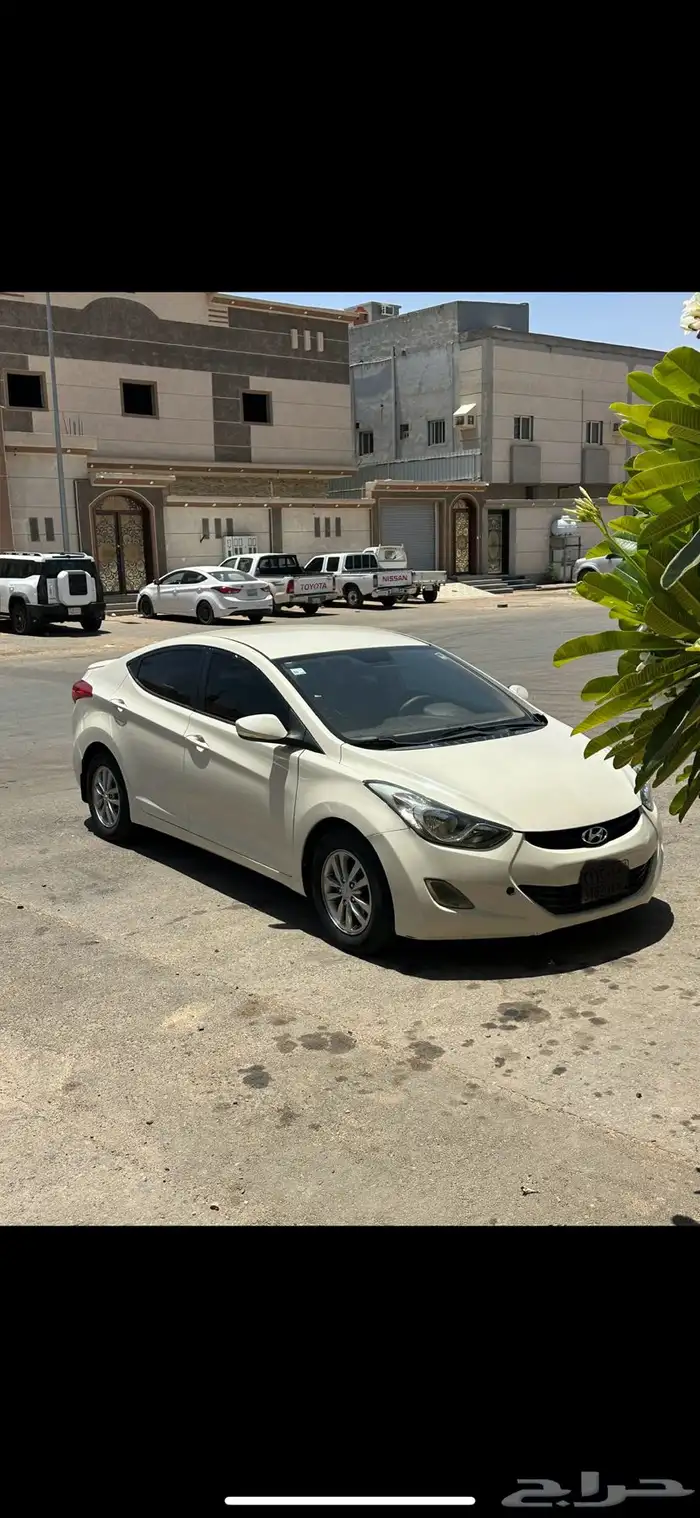 انترا 2012 للبددل 2