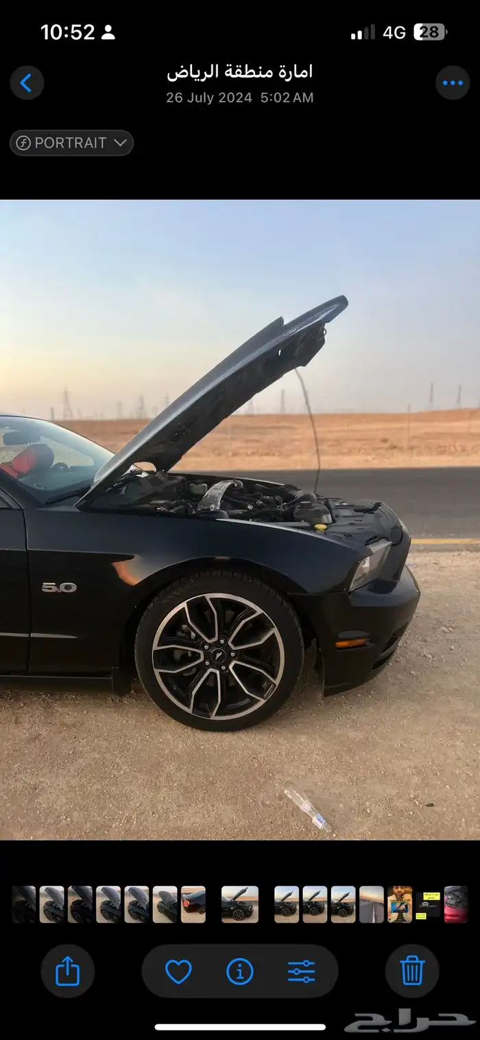 موستنج GT 2013 بريموم 1 1