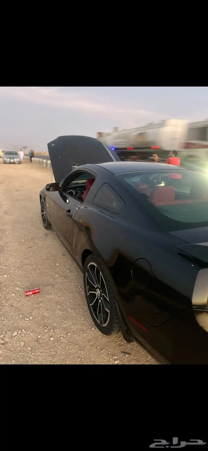 موستنج GT 2013 بريموم 1 3