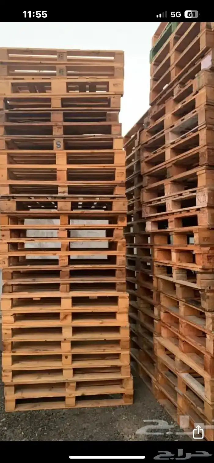 الطبليات 2