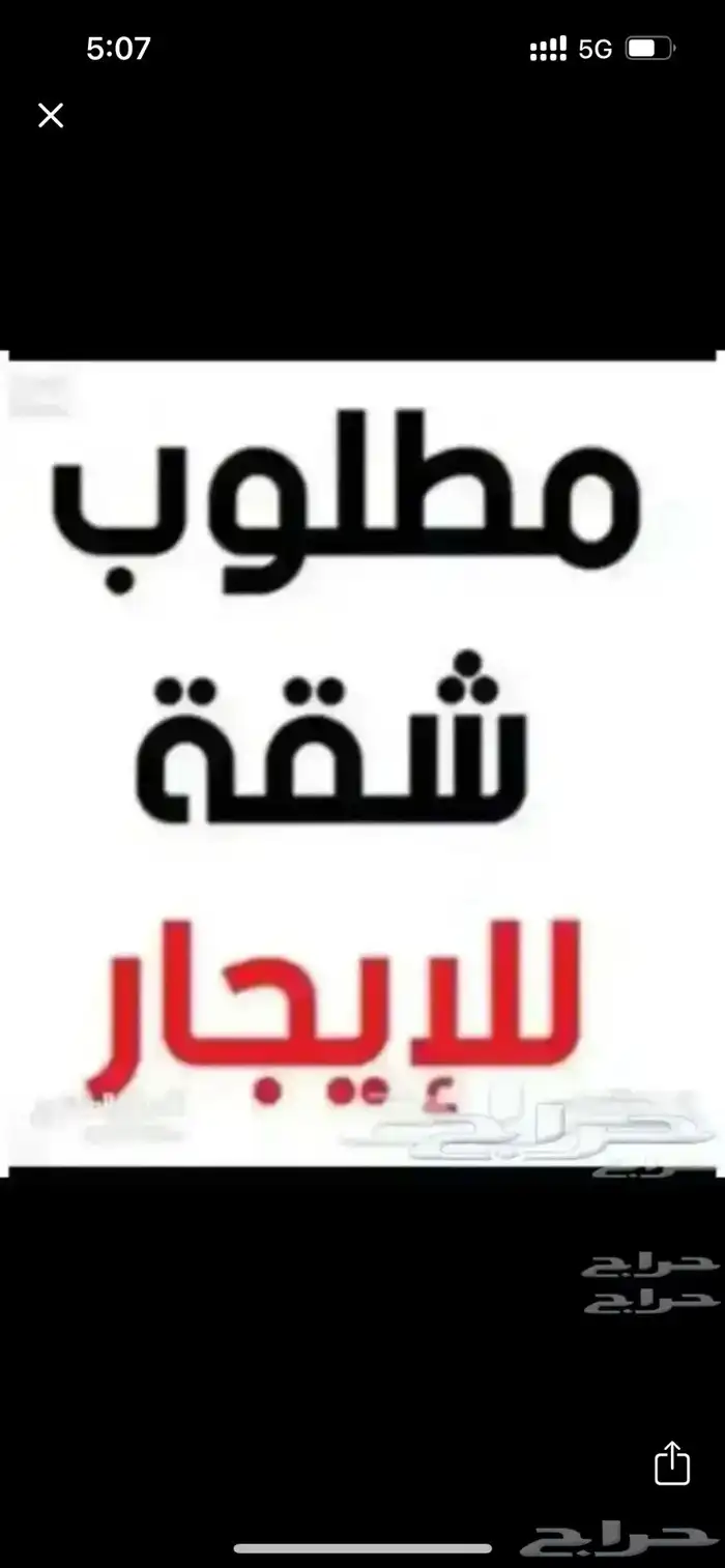 مطلوب شقة جديدة للإيجار 0