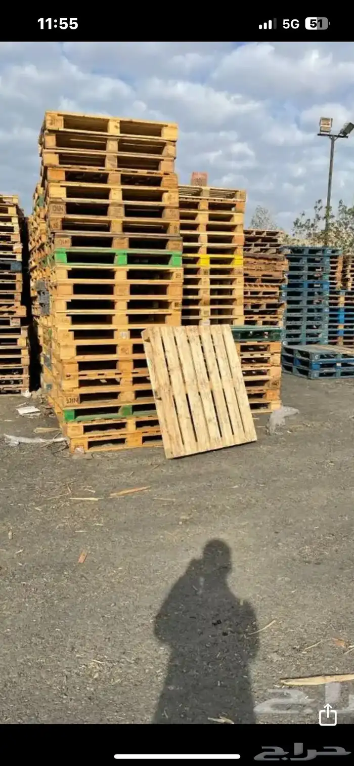 الطبليات 1