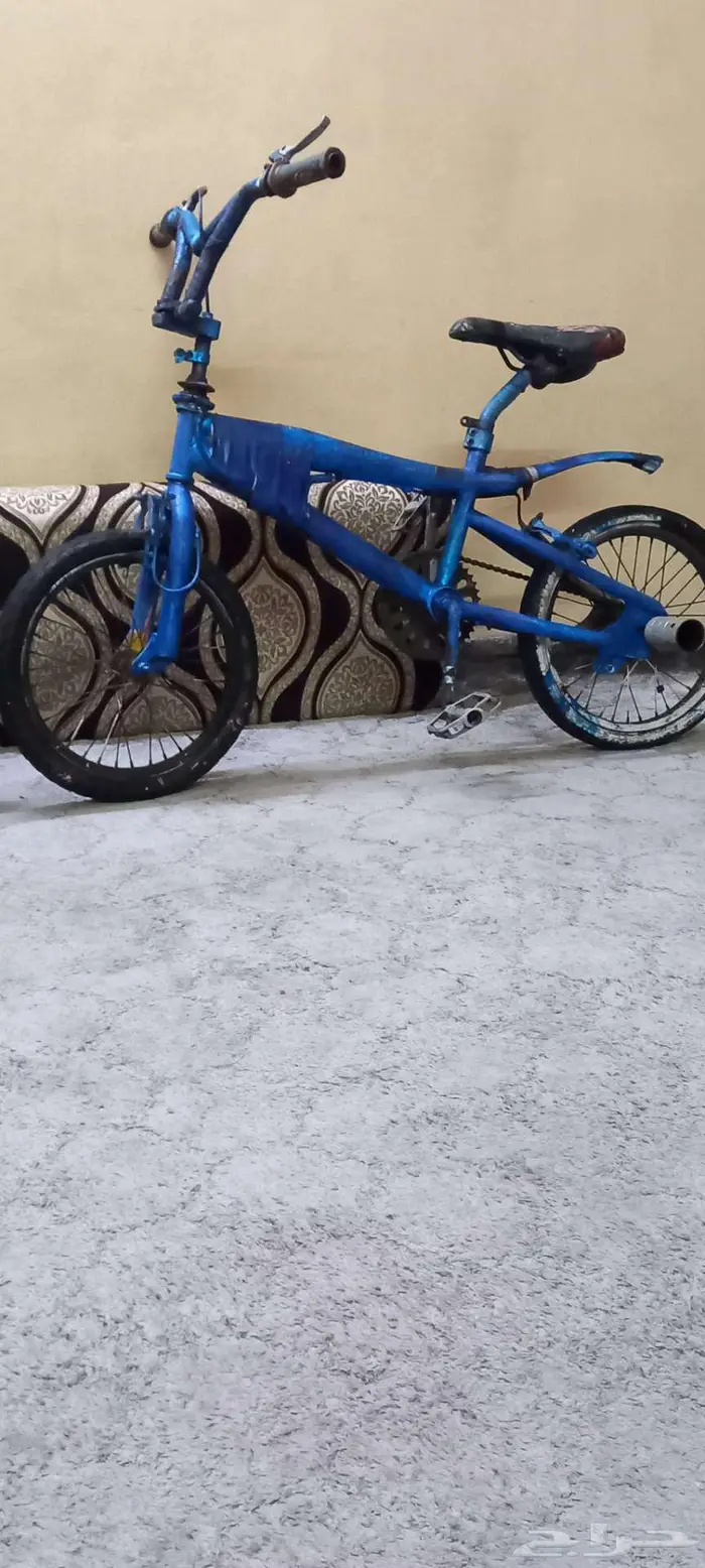 سياكل العدد 2 7