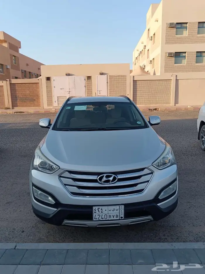سنتافي 2013 3